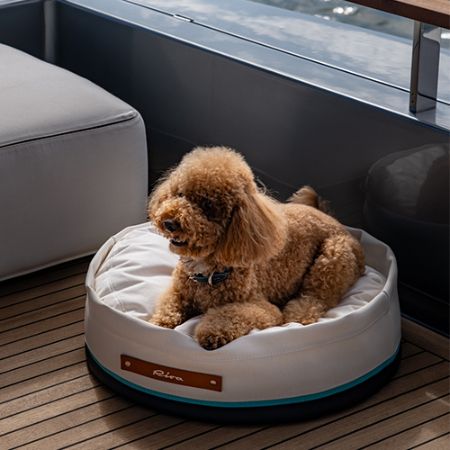 Picture for category Dog accessories